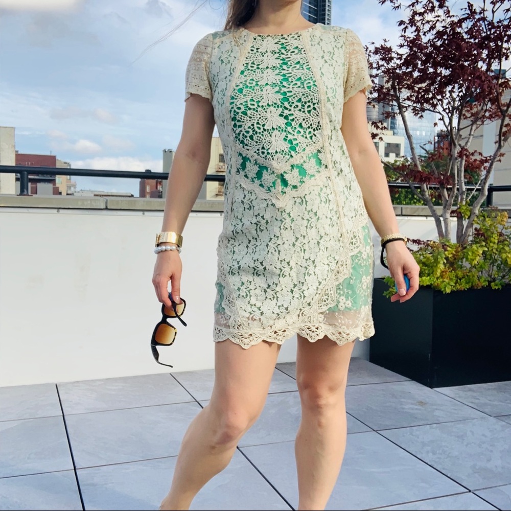 Anthro Champagne & Strawberry Emerald Ivory Lace - Picture 11 of 16